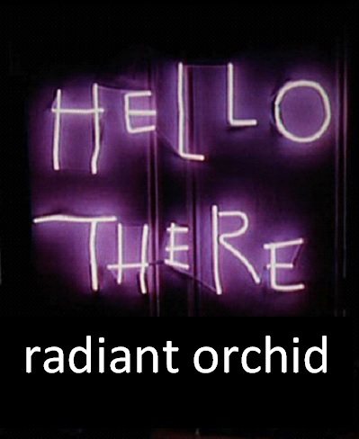 Radiant Orchid Header - TorieandTristan